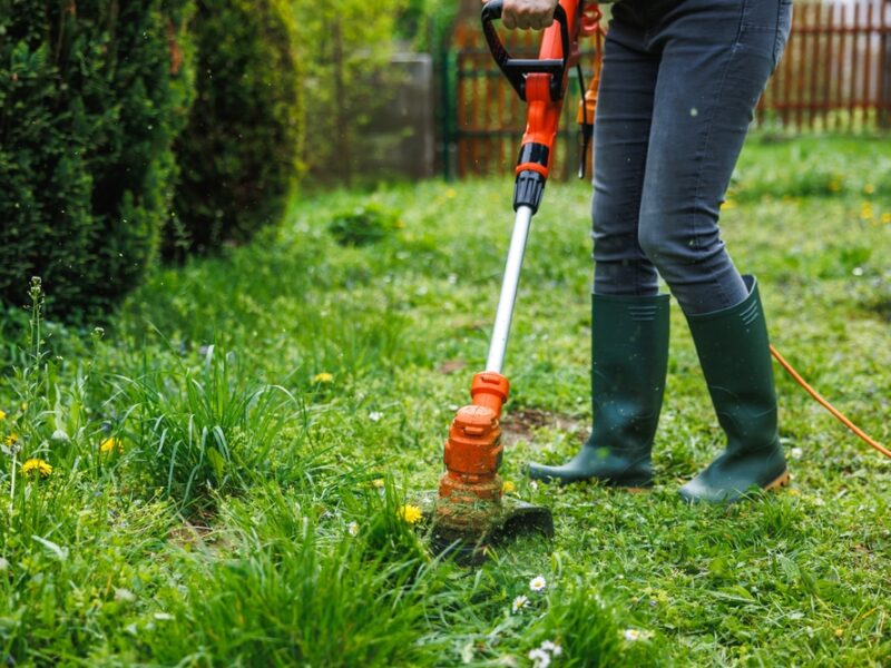 Garden Maintenance