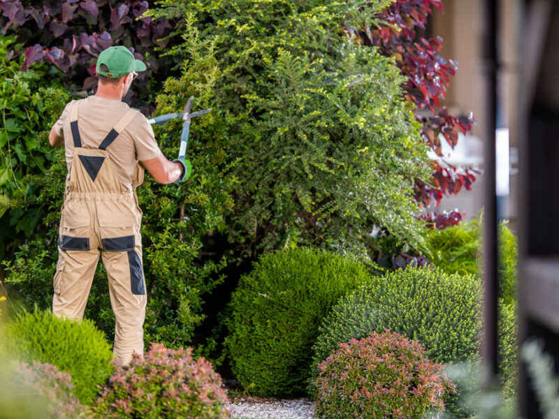 Garden Maintenance